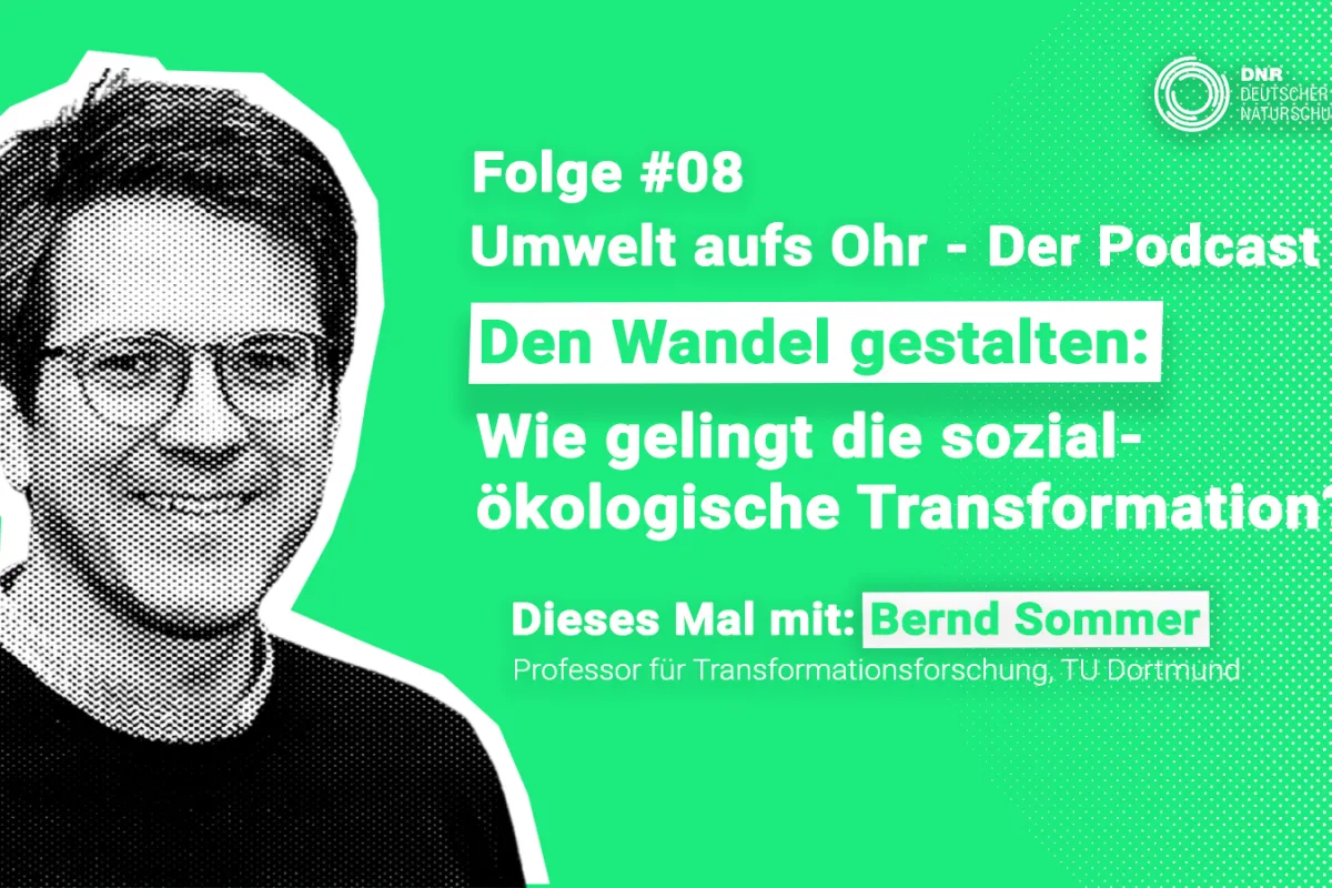 Podcast Transformation Bernd Sommer